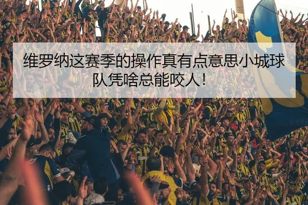 维罗纳这赛季的操作真有点意思小城球队凭啥总能咬人！