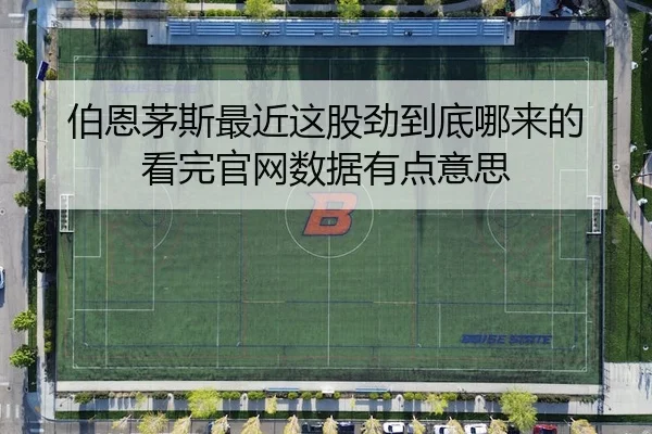 bo-en-mao-si-zui-jin-zhe-gu-jin-dao-di-na-lai-de-kan-wan-guan-wang-shu-ju-you-dian-yi-si-2-652.jpg