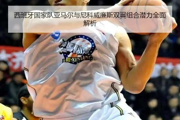 西班牙国家队亚马尔与尼科威廉斯双翼组合潜力全面解析