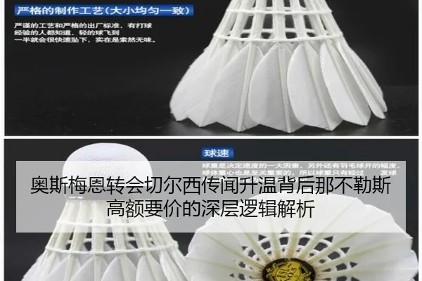 奥斯梅恩转会切尔西传闻升温背后那不勒斯高额要价的深层逻辑解析