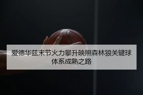 爱德华兹末节火力攀升映照森林狼关键球体系成熟之路